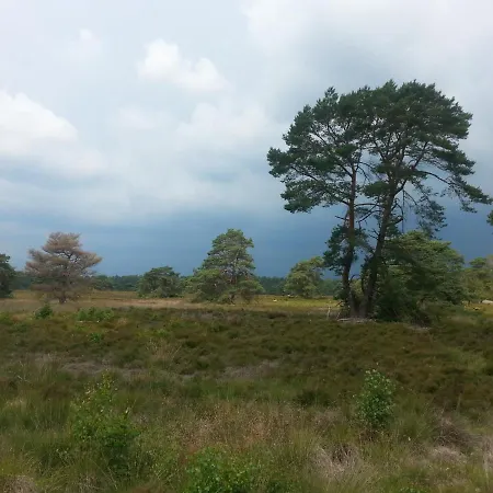 Semesterbostad Wagenschuur *