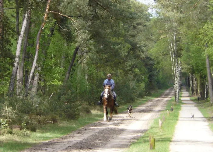 Holiday home Wagenschuur Emst