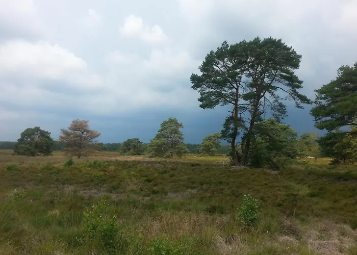 Holiday home Wagenschuur *